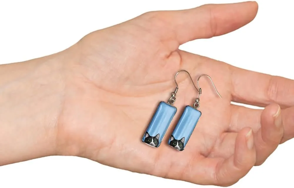 WIRESTER 1 Pair Glass Rectangle Earrings Drop Dangle Earrings Fashion Jewelry Accessories For Women